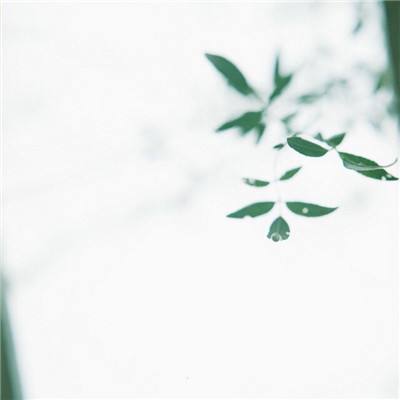 决战王城内购破解版下载