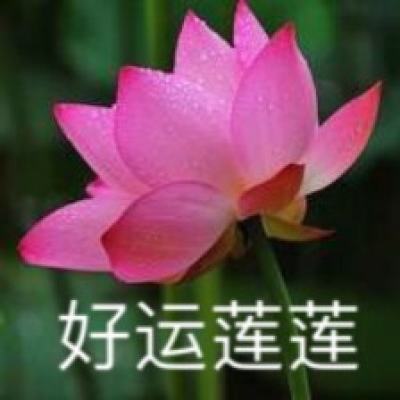 《歌手》下一季还办吗？或许，得先回答三道选择题